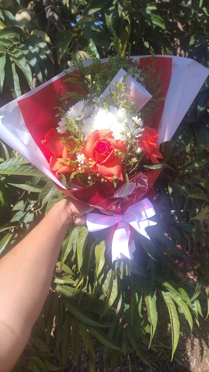mão segurando um buquê de rosas vermelhas e margaridas brancas com laço branco ao ar livre