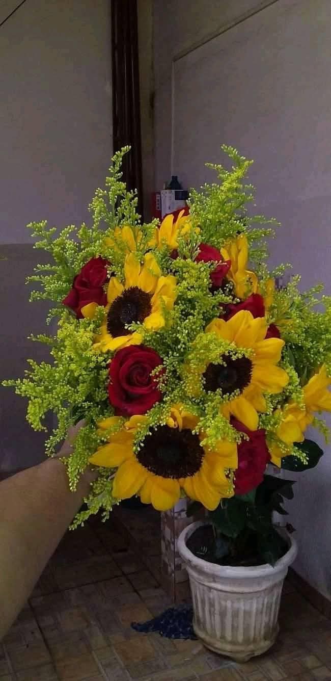 grande buquê de girassóis e rosas vermelhas com folhagens verdes sendo segurado por uma mão sobre um vaso bran